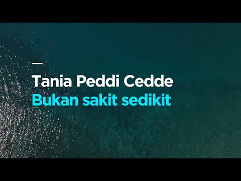 TERJEMAHAN LIRIK LAGU BUGIS TANIA PEDDI CEDDE COVER BY EVI AGUSTINA CIPT YUKI VII