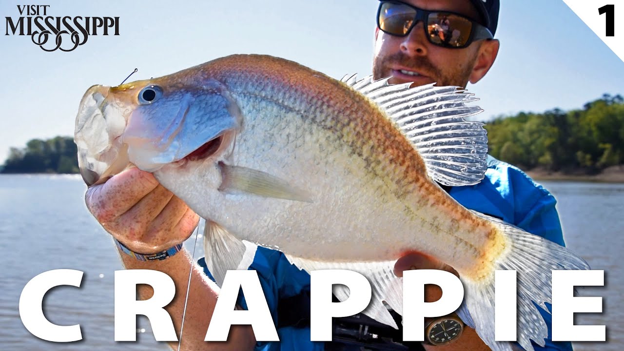 Fishing the CRAPPIE Capital of the World (CATCH & COOK) #FieldTrips Mississippi