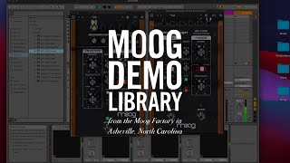 Video thumbnail for Moogerfooger Effects Plug-ins | CV Interconnectivity by Moog Music