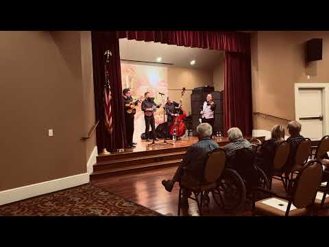 Gypsy Stringz Performance