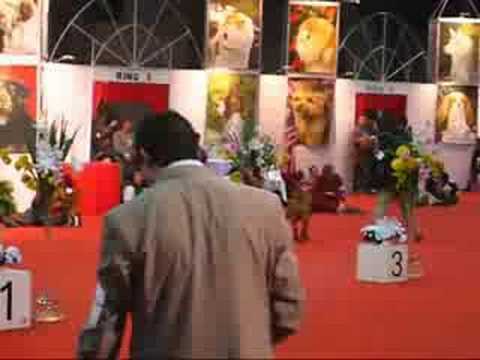 Pascuala - Copa Confraternidad - Final de Exposicion - 07/08