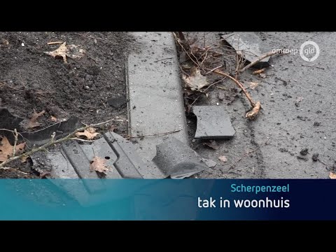 GLD Nieuws 29 januari 2017