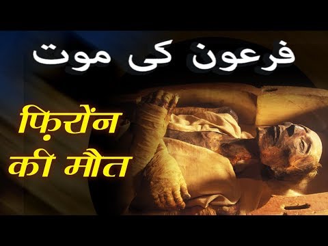 download lagu mp3 mp4 Hazrat Musa Alaihis Salam, download lagu Hazrat Musa Alaihis Salam gratis, unduh video klip Hazrat Musa Alaihis Salam