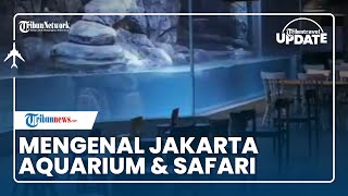 Mengenal Jakarta Aquarium & Safari, Tempat Wisata Akuarium Indoor Terbesar di Indonesia