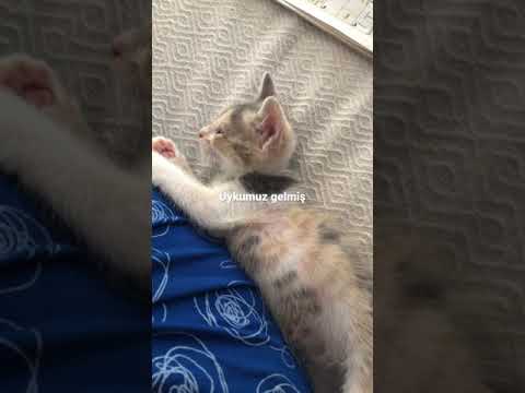 Çıtırcığım❤️