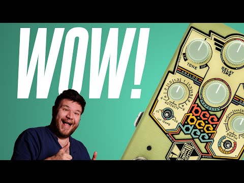 This Delay Is INSANE! Beetronics BeeBeeDee!