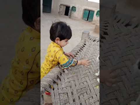 khadeeja cat ko kya khila rahi h coment min btain (what khadeeja is feeding to cat tell in comments