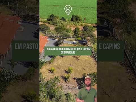 FAZENDA À VENDA EM IPAMERI, GOIÁS📍