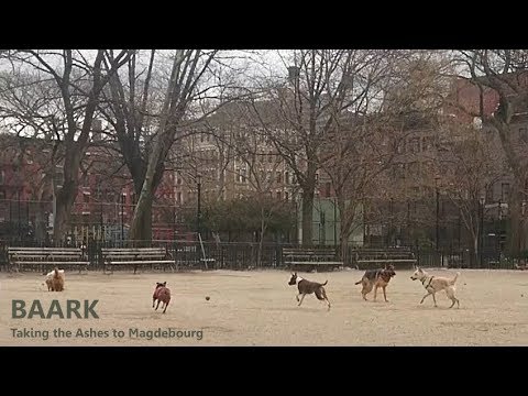 BAARK - Taking the Ashes to Magdebourg