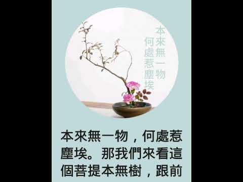 本來無一物何處惹塵埃用法