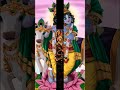 New Krishna Bhajan Status Krishna Ji Whatsapp Status Full Hd Shorts Video