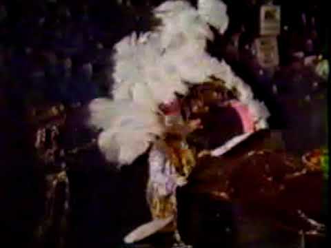 1981 Alpha Fancy Brigade "South Of The Border" - 10th Place