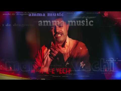 Nicolae Guta  -  Am gresit si eu,ai gresit si tu