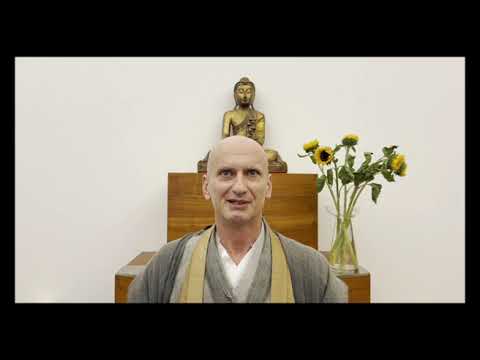 Muho: Zen und Mitgefühl - ein Widerspruch in sich?