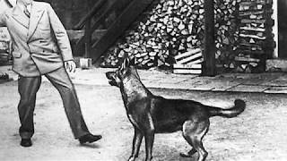 Jarkko Martikainen - Blondi