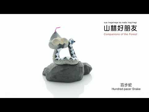 百步蛇 Hundred-pacer Snake