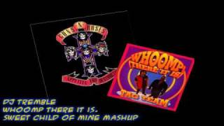 Sweet Child of Mine/Whoomp There it is Mashup (DJ Tremble Remix)