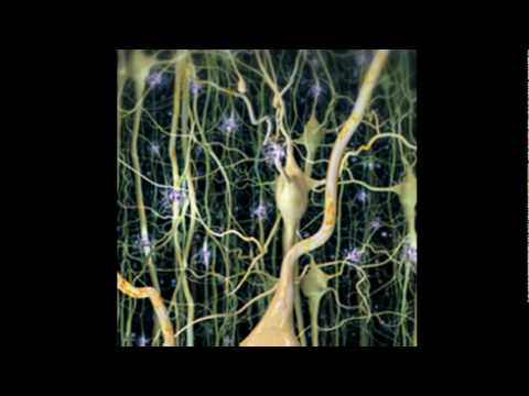 Hypnosis digital story telling.avi