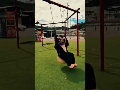 ¿Conoces Zamora? Mira esto 👀 #folklore #baile #cuenca #musica #ecuador #turismo #viajes  #natural