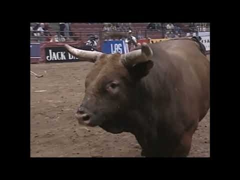 Chris Shivers vs Fort Hawkins - 99 PBR Anaheim (86.5 pts)