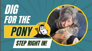 Life Over 40, Caregiving, and Starting Over | Welcome to Dig for the Pony