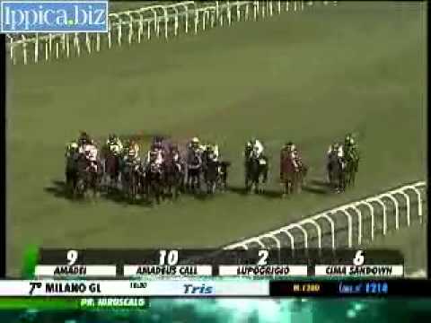 26/04/2014, Milano , Premio Idroscalo Tris