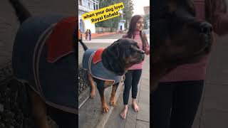 Rottweiler attack | aggressive dog breed | funny dog