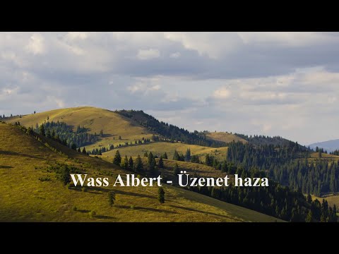 Wass Albert - Üzenet haza (László Attila)