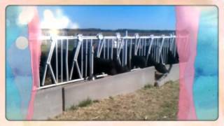 preview picture of video 'Field trip to the Klausmyer Dairy Farm'