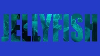 Video in Text Photoshop Tutorial