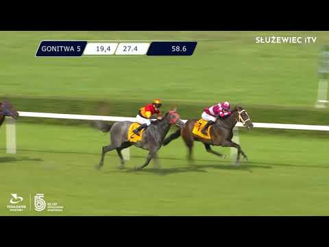 15.08.2021 (D27; G5; Tor: 2,5; 29°C) Nagroda Deer Leapa (Specjalna) - (kat.B)