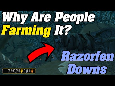 Why Are People Farming It? Razorfen Downs