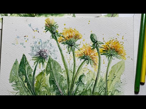 Lekcja 34: Piękne Kwitnące Mniszki