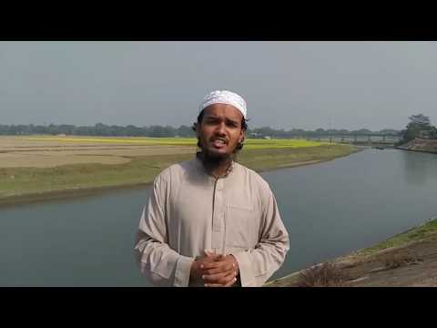 আগাম বেগুন চাষ কৃষক হাসে বারমাস