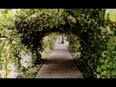 Cristiano De André - ’A Çimma (Official Video) ft Paolo Fresu, Omar Sosa, Jaques Morelenbaum