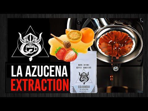 Jammin' Strawberry & Honey - Dark Ritual's Colombia La Azucena Extraction & Review