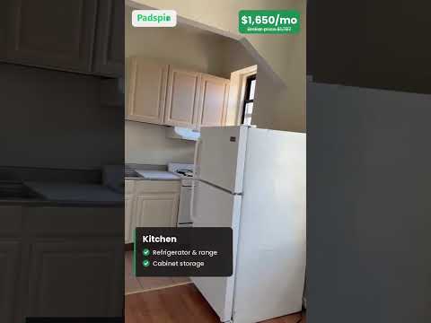 video 1