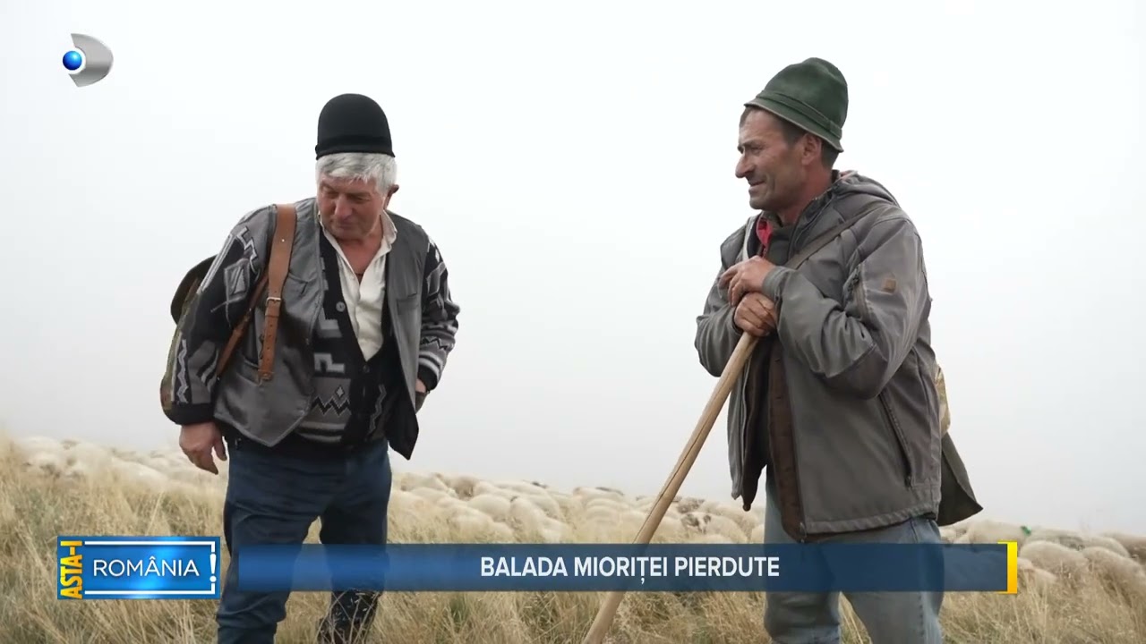 Asta-i Romania (29.09.2024) - Balada Mioritei pierdute! Ciobania, pe cale de disparitie!