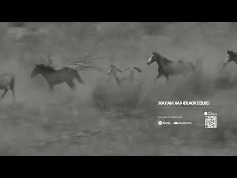 Chinbaa - Black Equis | Чинбат – Жалам хар