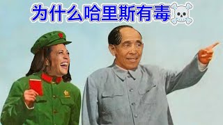 [問卦] 賀錦麗推動結果相等的共產主義 卻贏川普