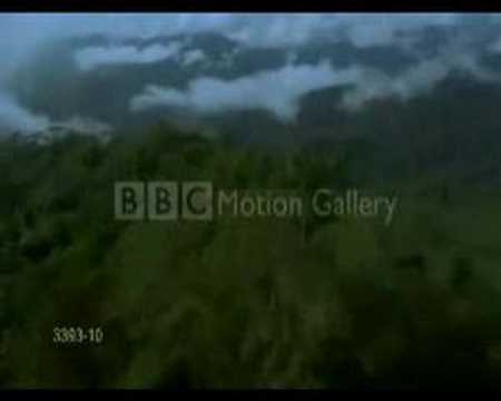 Antichrisis - The farewell