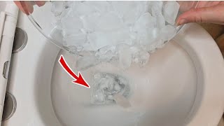 Throwing ice cubes in the toilet 🤔 Why has this strange trick become so popular?