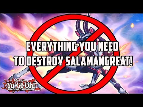 Yu-Gi-Oh! Everything You Need to DESTROY Salamangreat!