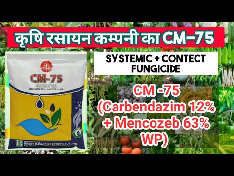 CM -75 Best fangicide | Carbendazim 12%+Mancozeb 63%WP | कृषि रसायन का CM-75 ,Fungicide,बिज उपचार🌾