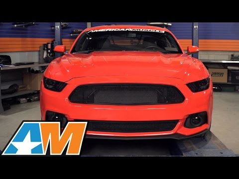 2015-2017 Mustang T-REX Upper Class-Series Black Mesh Grille Review & Install