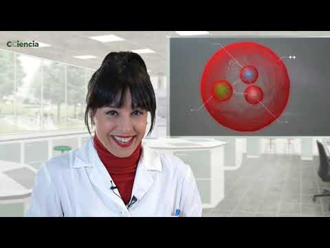 Vídeo: A gaivota dixo quark