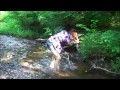 Stompa By Serena Ryder Our Version