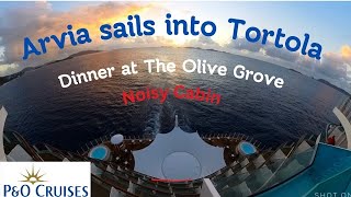 P&O Arvia | Noisy Cabin | Tortola, BVI | Olive Grove | Part 2
