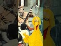 Classic Sesame Street Hello