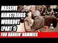 Hamstrings Training for Massive Hamstrings Muscles [PART 1]